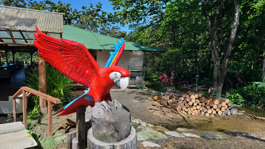 Eine rote Papagei Skulptur vor einem kleinen Haus auf Costa Rica